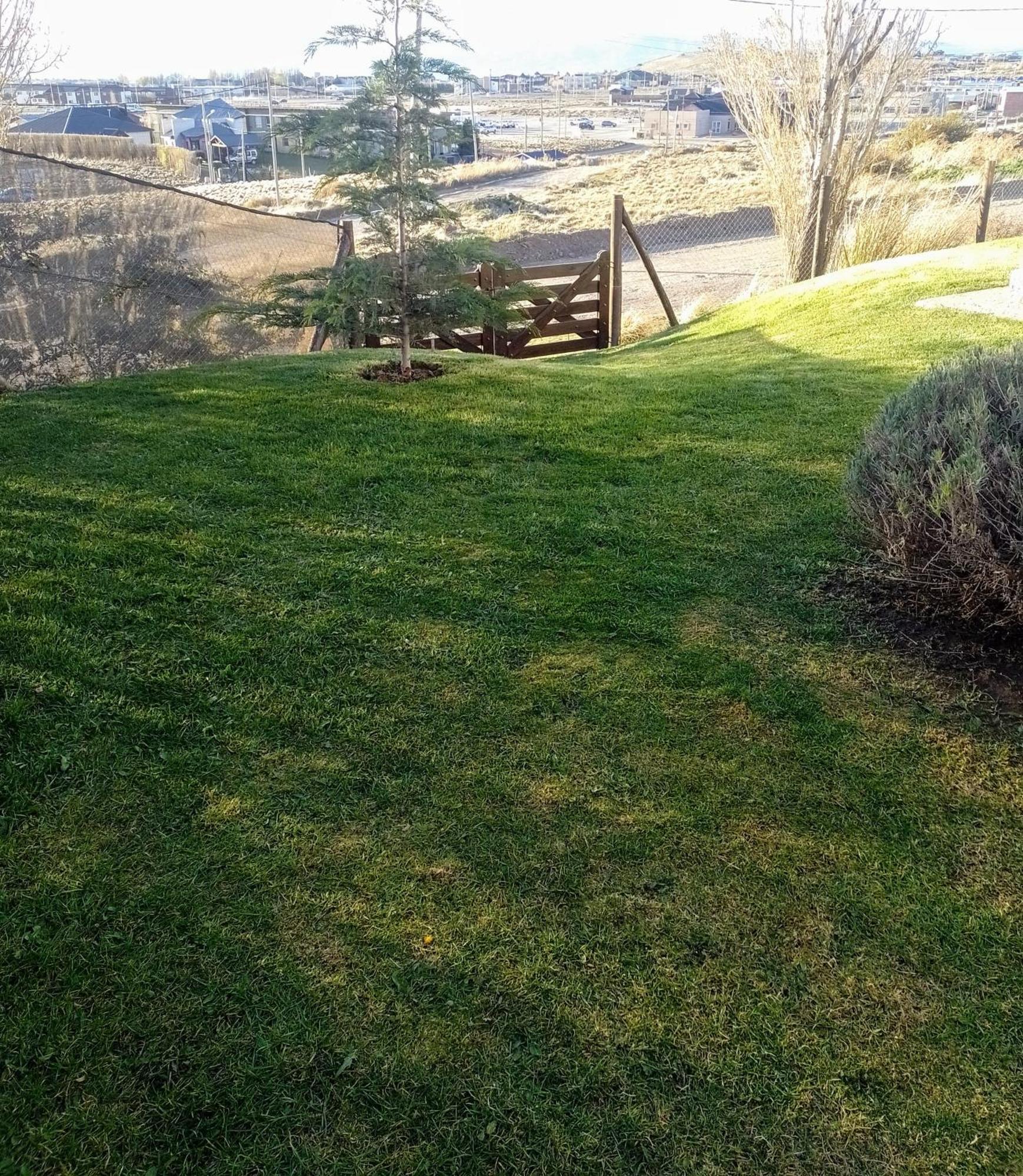 Cabana La Marilena, Para 2 Huespedes Con Desayuno El Calafate Buitenkant foto